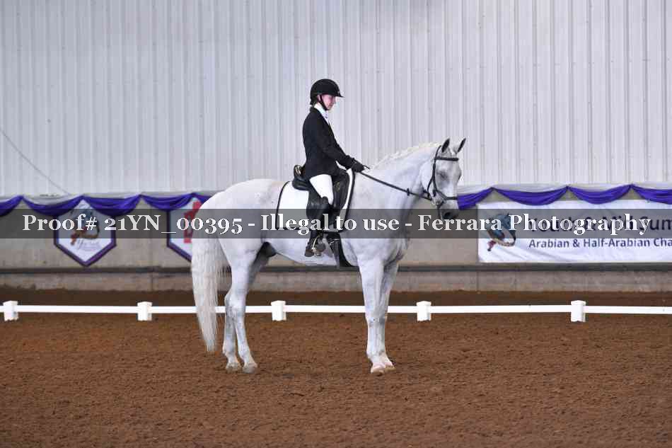Proof Number 21YN_00395