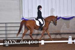 21YN_00400 thumbnail
