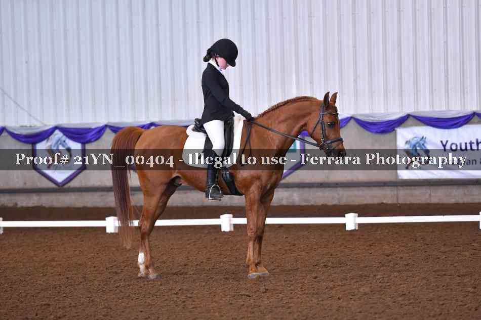 Proof Number 21YN_00404