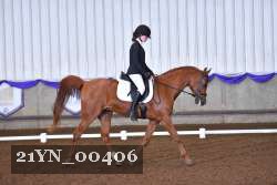 21YN_00406 thumbnail