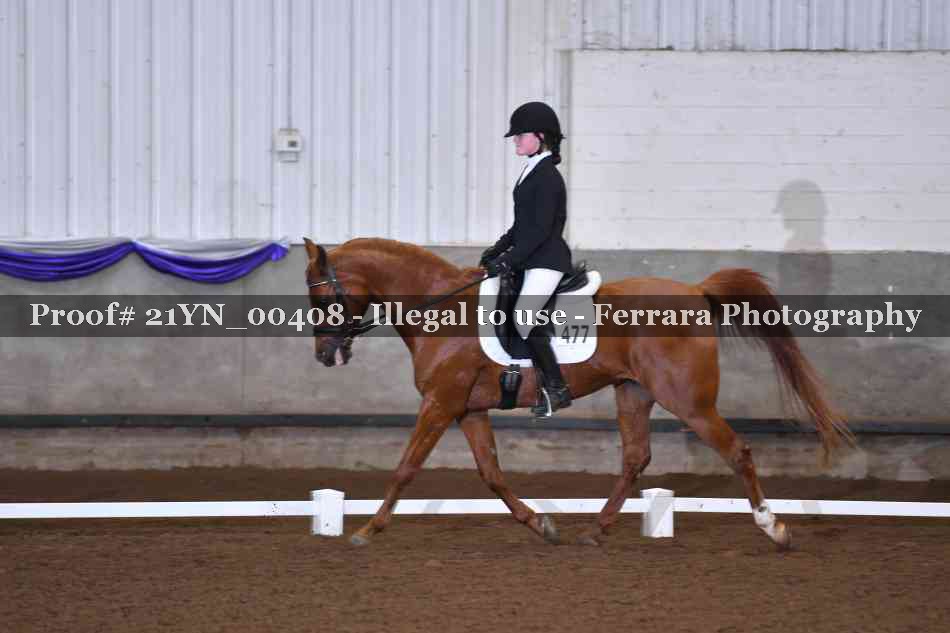 Proof Number 21YN_00408