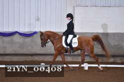 21YN_00408 thumbnail