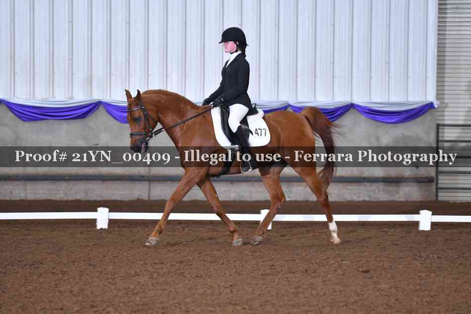 Proof Number 21YN_00409