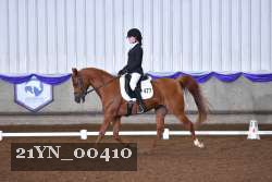 21YN_00410 thumbnail