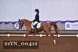 21YN_00412 thumbnail
