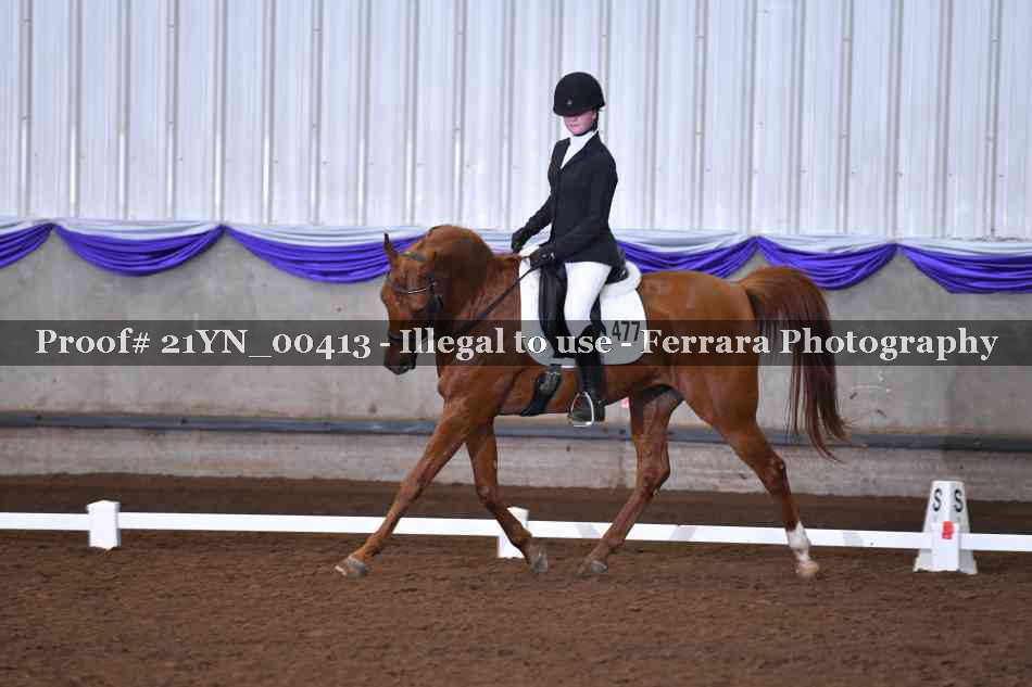 Proof Number 21YN_00413
