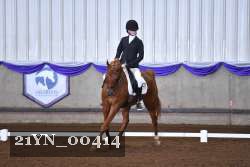 21YN_00414 thumbnail