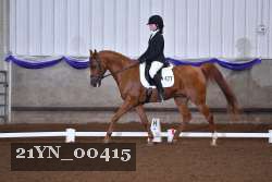 21YN_00415 thumbnail