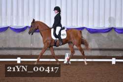 21YN_00417 thumbnail