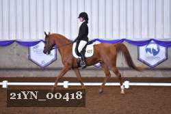 21YN_00418 thumbnail