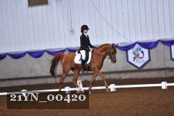 21YN_00420 thumbnail
