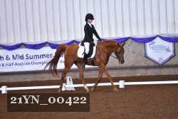 21YN_00422 thumbnail