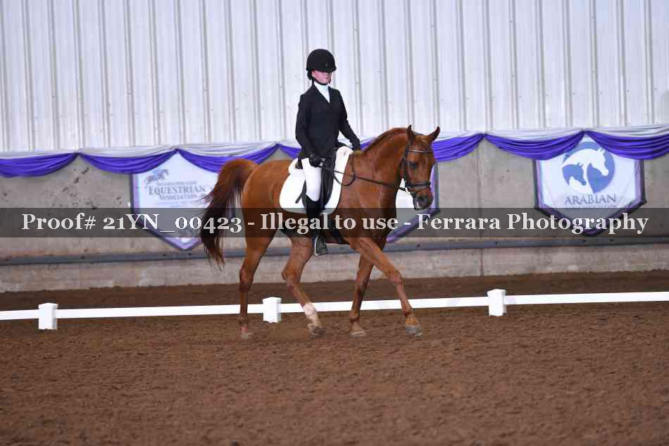 Proof Number 21YN_00423