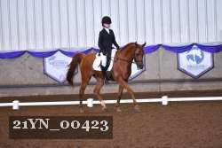 21YN_00423 thumbnail