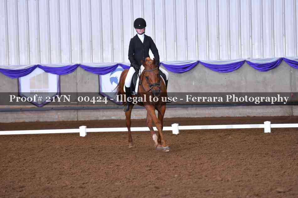 Proof Number 21YN_00424