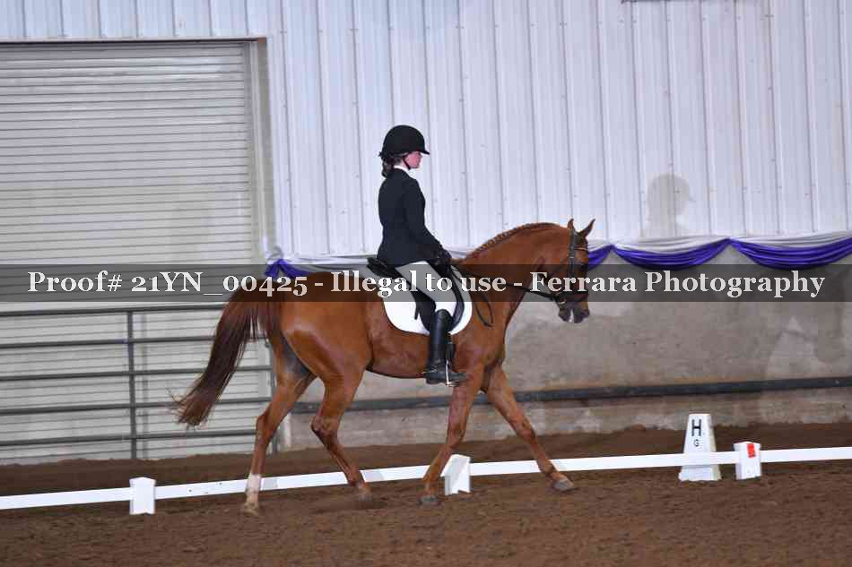 Proof Number 21YN_00425