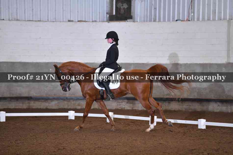 Proof Number 21YN_00426