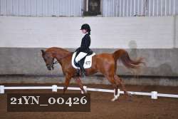 21YN_00426 thumbnail