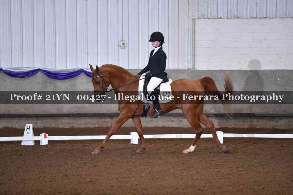 Proof Number 21YN_00427