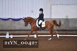 21YN_00427 thumbnail