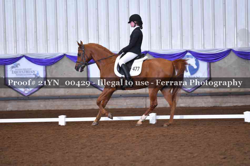 Proof Number 21YN_00429