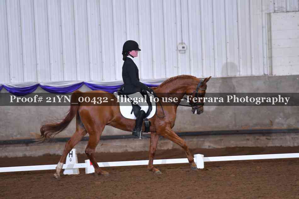 Proof Number 21YN_00432