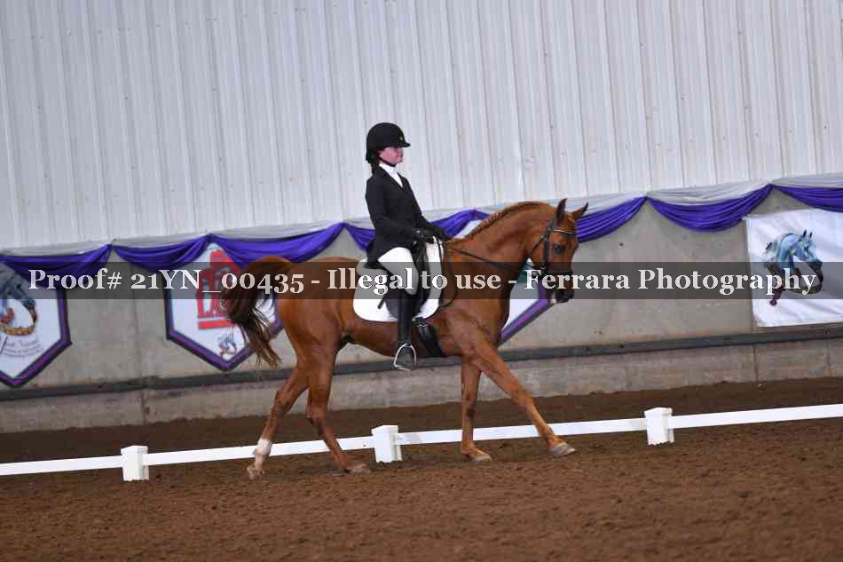 Proof Number 21YN_00435