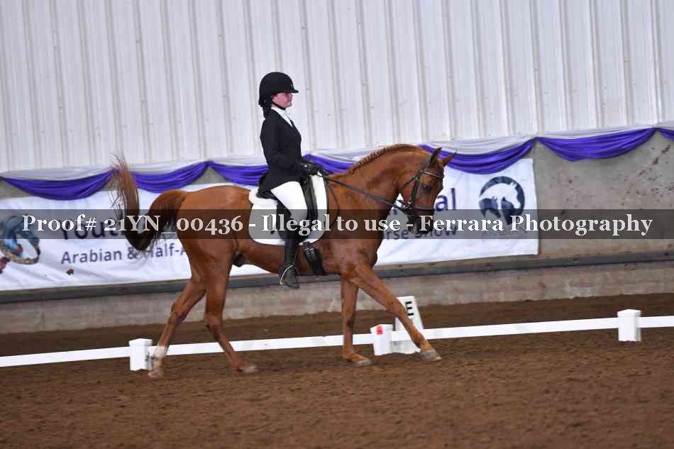 Proof Number 21YN_00436