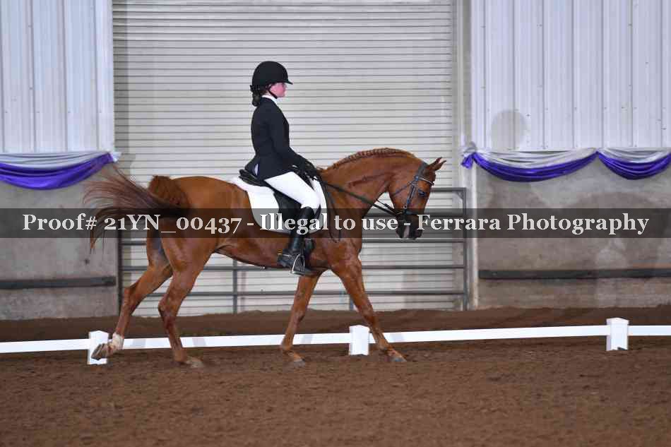 Proof Number 21YN_00437