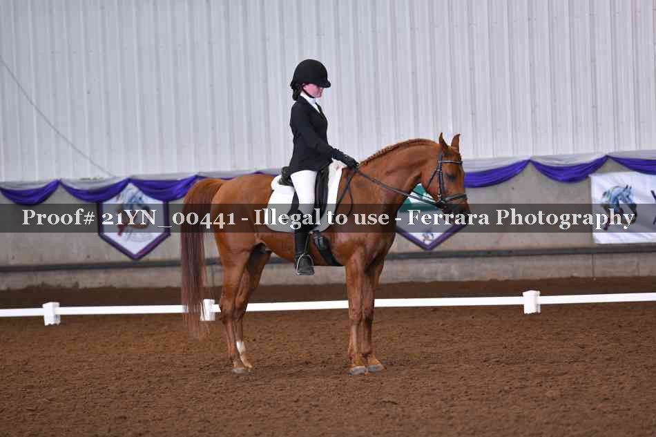 Proof Number 21YN_00441