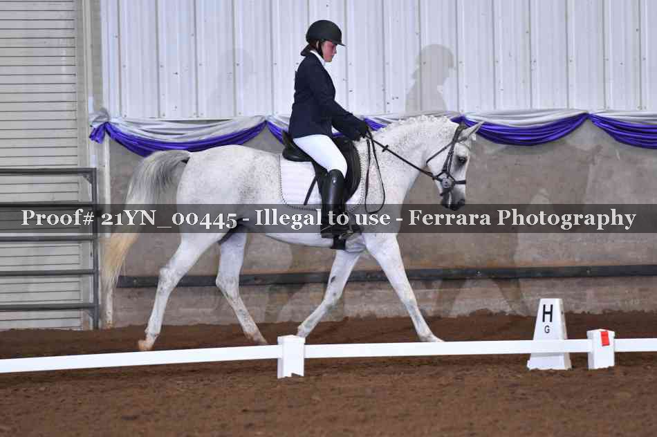 Proof Number 21YN_00445