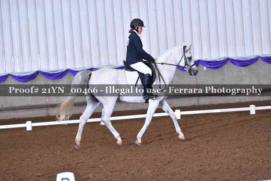 Proof Number 21YN_00466