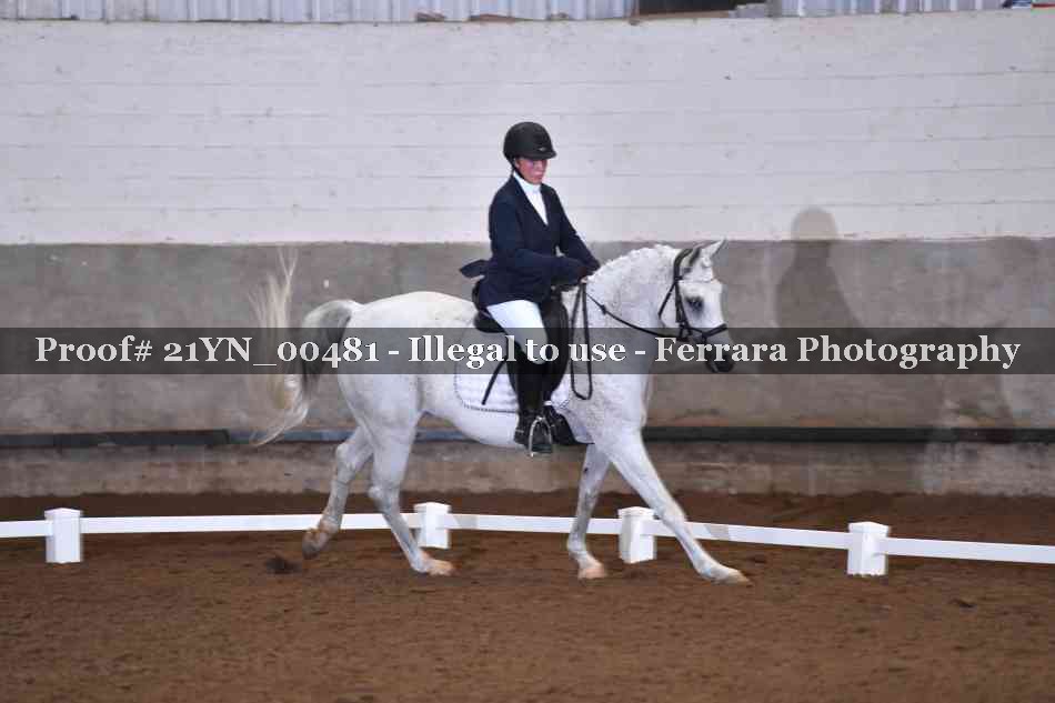 Proof Number 21YN_00481