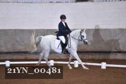 21YN_00481 thumbnail