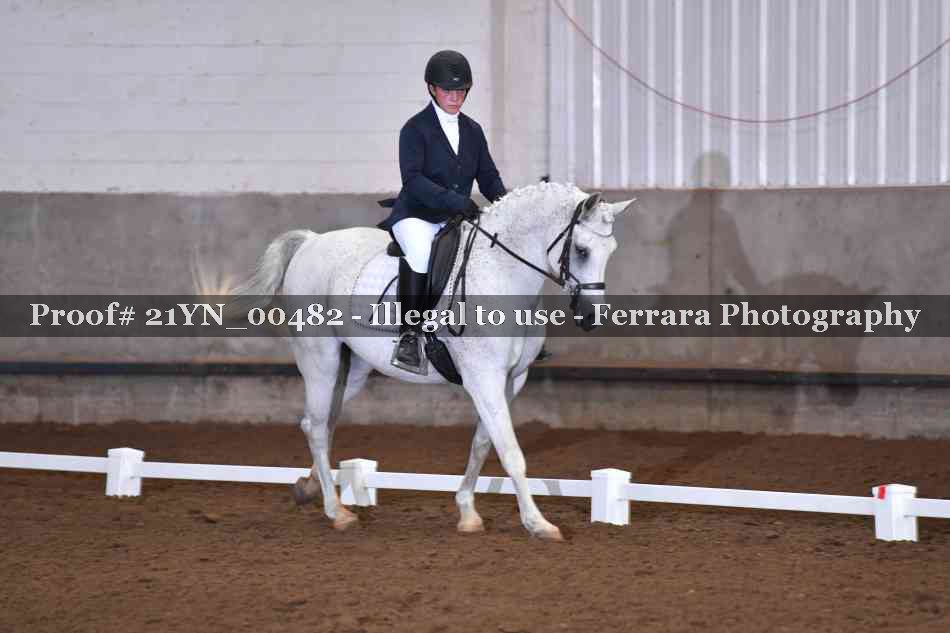 Proof Number 21YN_00482
