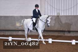 21YN_00482 thumbnail