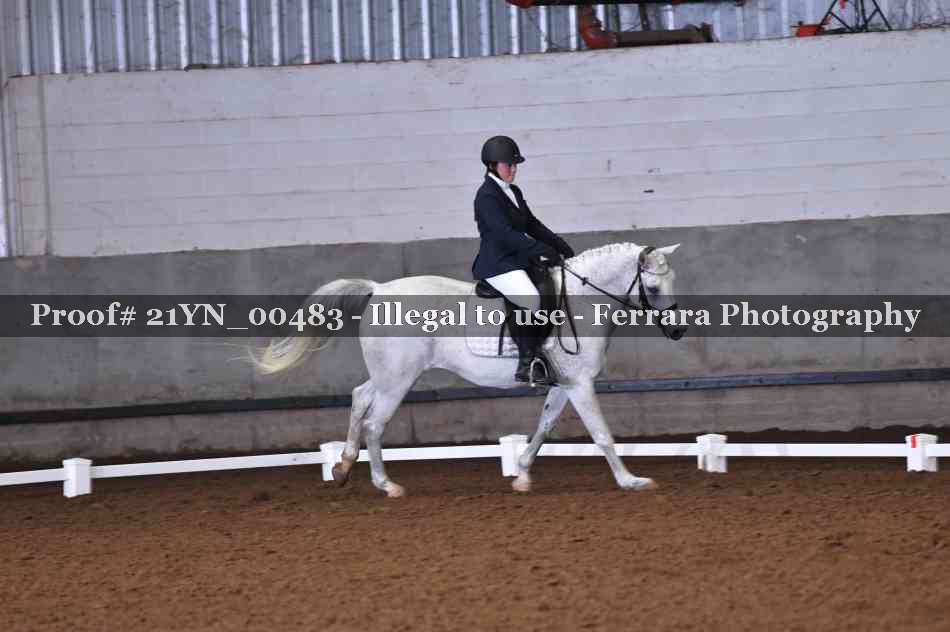 Proof Number 21YN_00483