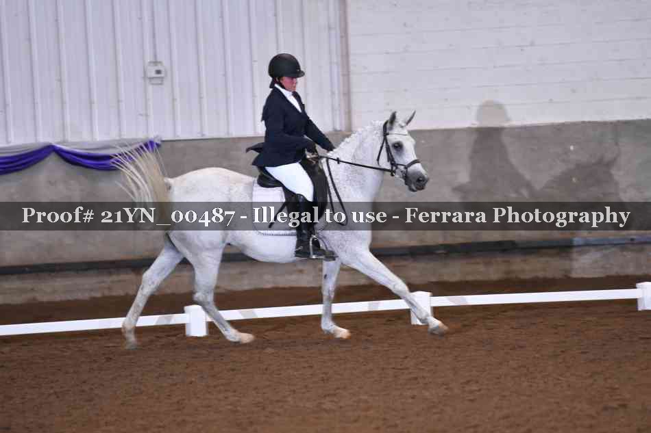 Proof Number 21YN_00487