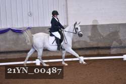 21YN_00487 thumbnail
