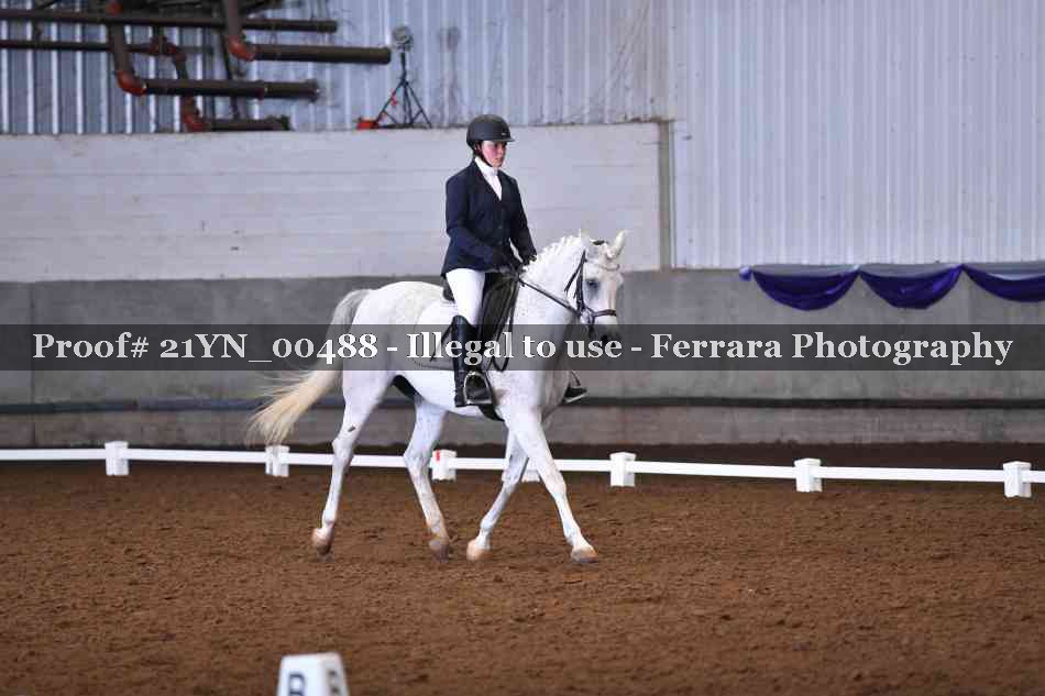 Proof Number 21YN_00488