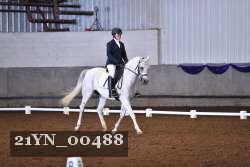21YN_00488 thumbnail