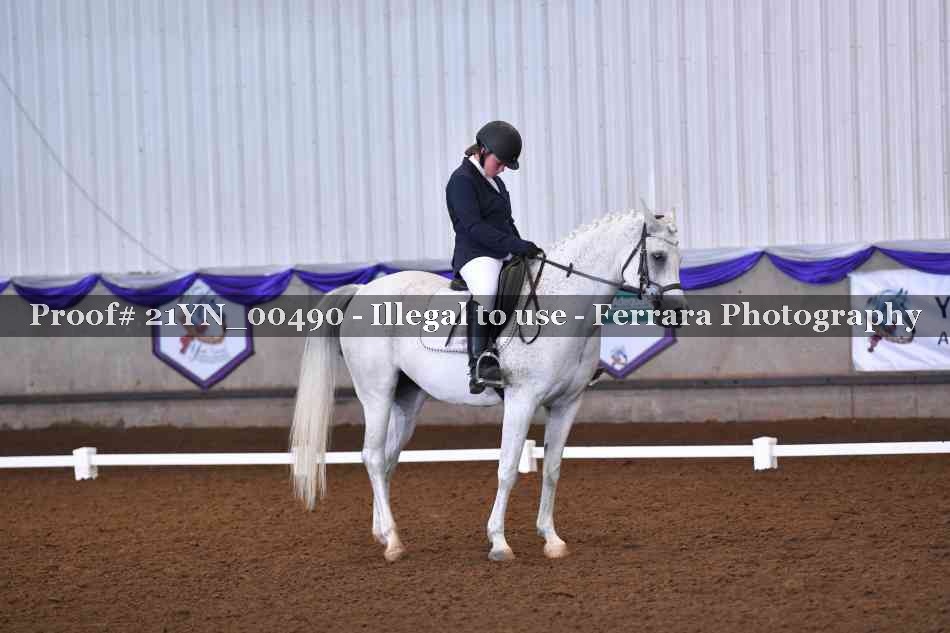 Proof Number 21YN_00490