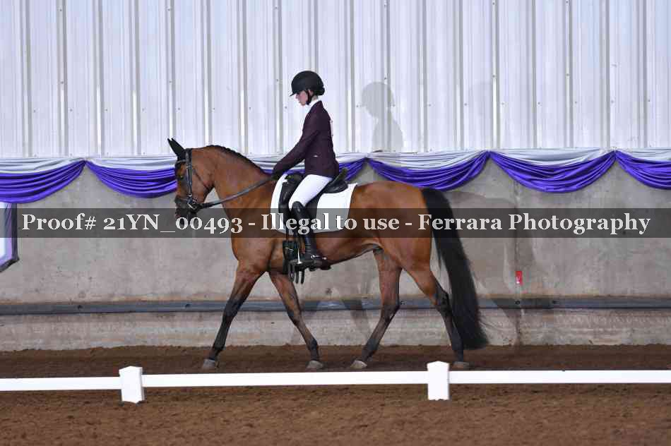 Proof Number 21YN_00493