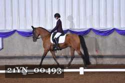 21YN_00493 thumbnail