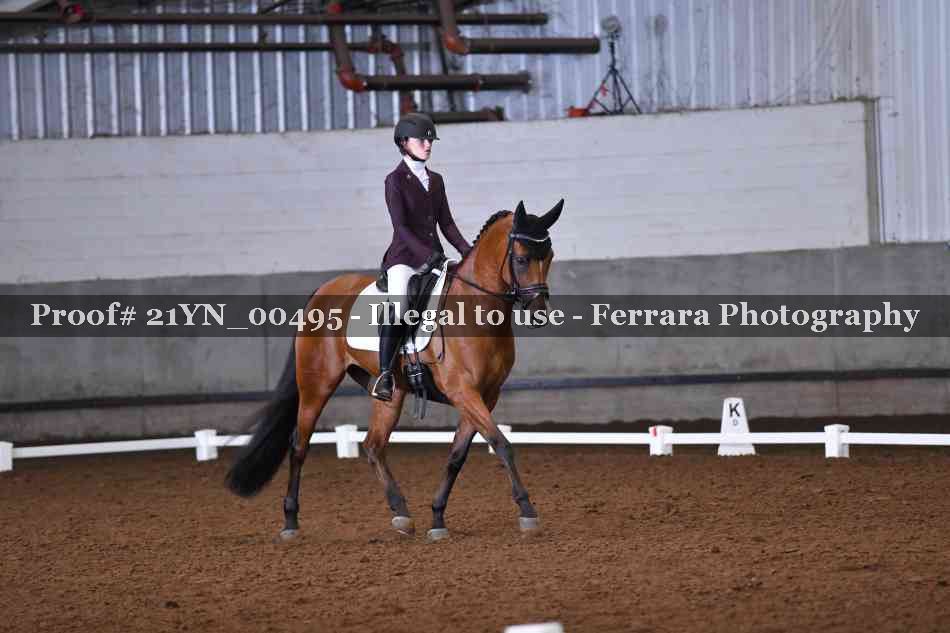 Proof Number 21YN_00495