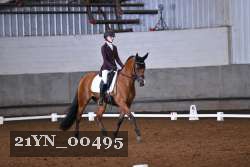 21YN_00495 thumbnail