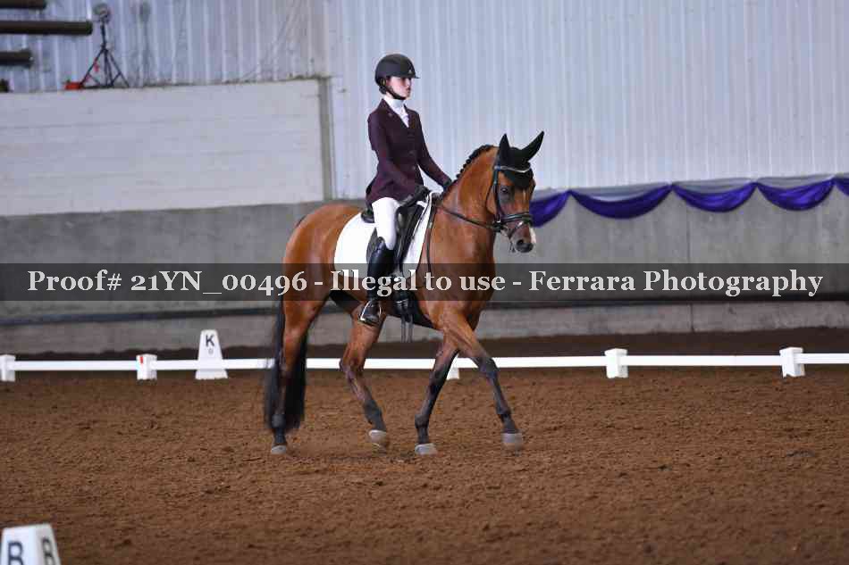 Proof Number 21YN_00496