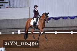 21YN_00496 thumbnail