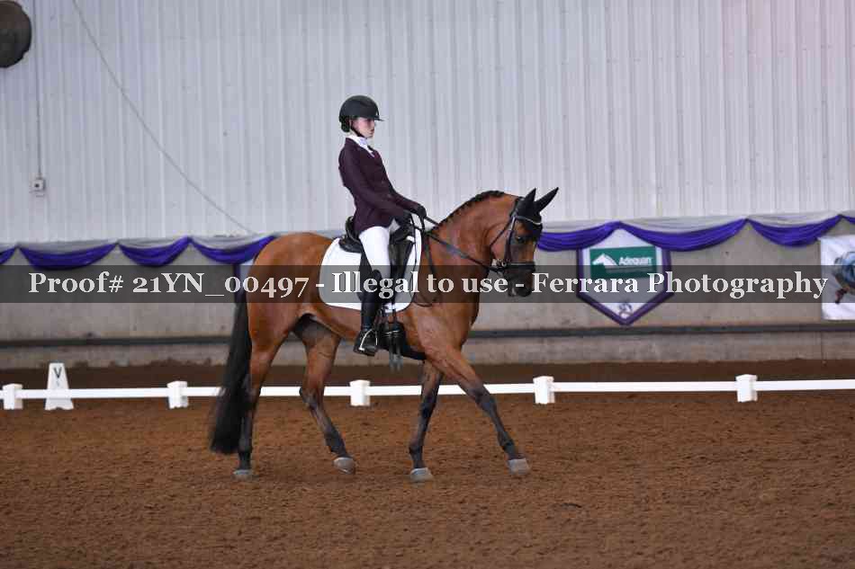 Proof Number 21YN_00497