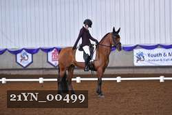 21YN_00499 thumbnail